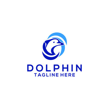 Dolphin fish animal logo concept vector isolated in white background