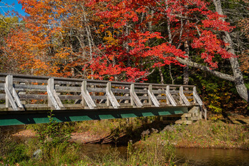 Foot bridge over a slow moving river in autumn.