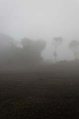 A dense fog over andean rain forest with people contemplating the wheater