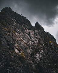 mountain in the fog