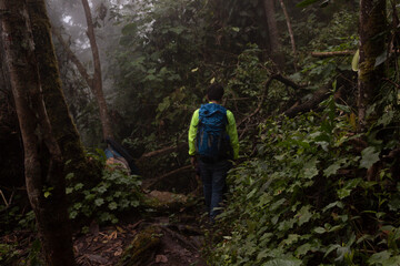 Naklejka na ściany i meble A young male trekking in middle of a dense jungle with fog and a blue bag pack