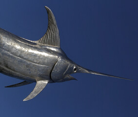 Scenic view of a swordfish on a blue background - obrazy, fototapety, plakaty