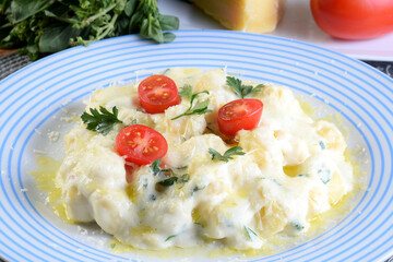 delicious gnocchi pasta in white sauce with parmesan cheese, tomato, basil, herbs, healthy food from Italian and French cuisine