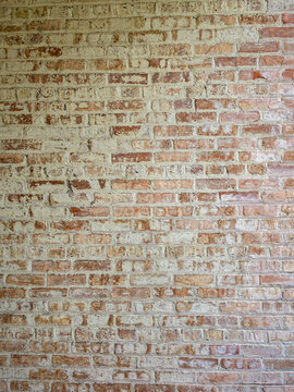 The Wall