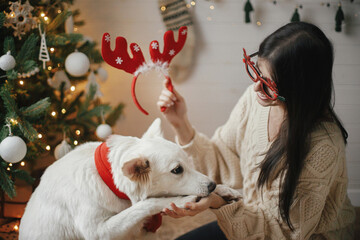 Stylish happy woman in cozy sweater playing with adorable dog under christmas tree with gifts and lights. Cute white dog giving paw to young female in festive accessories in room. Happy Holidays!