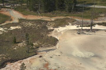 Stream in Geyser field. 
Yellowstone National Park
