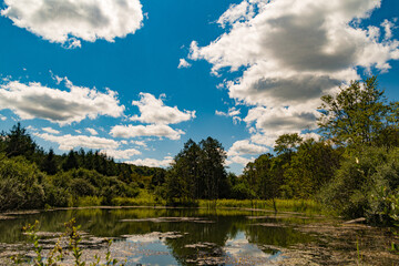 Mountain Pond 