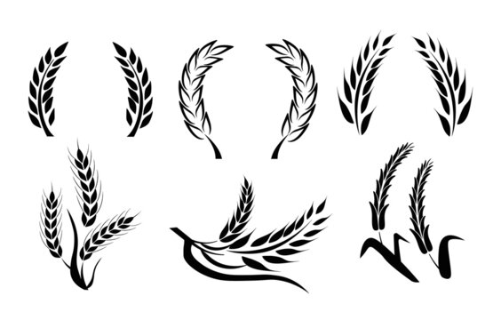 Wheat black and white wreaths. Graphic elements for website, framing for objects. Wreaths, design of cards with goods. Raw materials for production. Vector illustration isolated on white background