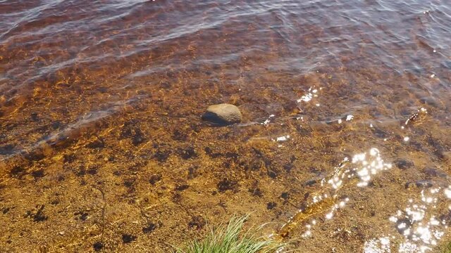 Kirchsee, beautiful lake, blue and dark brown clean warm moor water in the natural environment of Ellbach and Kirchseemoor in Upper Bavaria near Bad-Tolz and Munich