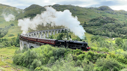 A view of the Glenfinnan Viaduct with a steam train going over - Powered by Adobe