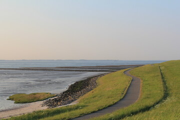 the delta dyke at the dutch coast in zeeland along the salt marshes in the westerschelde sea