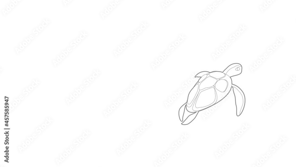 Wall mural turtle icon animation best outline object on white background