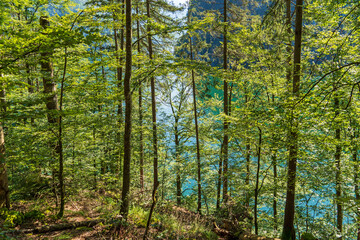 Malerwinkel - Rundwanderweg am Königssee