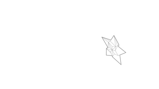 Star icon animation best outline object on white background