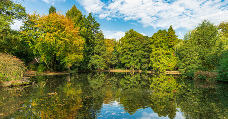 Fototapeta premium Beautiful morning light in public park with green grass field and green fresh tree