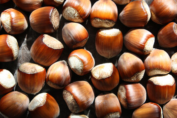 Hazelnut on wooden table background.