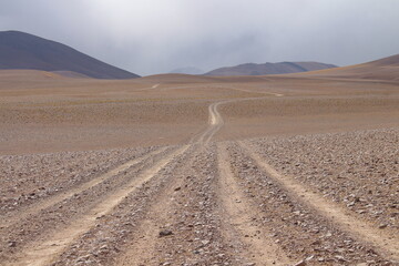 Desert Road in amazing landscape