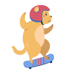 Skater dog on a skateboard. flat style vector illustration.