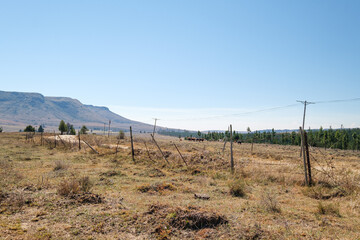 Fototapeta na wymiar Dirt road among the mountains in rural farmlands in South Africa