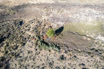 Drone images of the beautiful Hogsback forests, as to where forestry. takes place