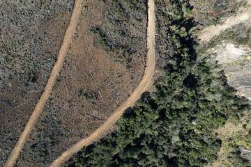 Drone images of the beautiful Hogsback forests, as to where forestry. takes place