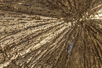 Macro mineral stone Pyrite Dollar on a white background