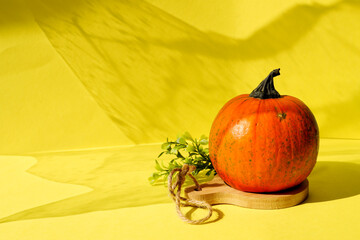Beautiful orange pumpkin isolated on yellow background. Getting ready for Halloween. Autumn template and postcard. Harvesting pumpkin on the farm in agriculture.