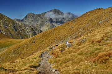Negoiu peak of Fagaras mountain range, Romania