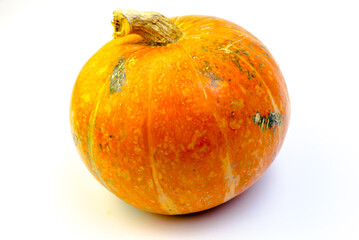 pumpkin isolated on white background for halloween copy space
