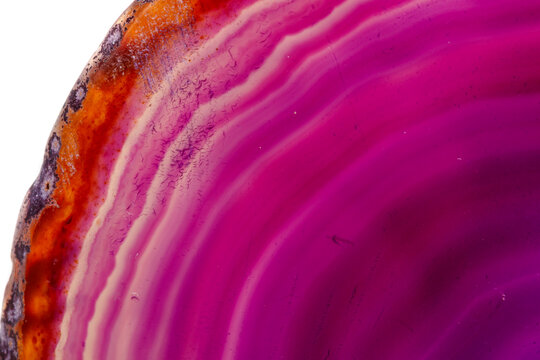 Macro mineral stone Purple Agate breed a white background