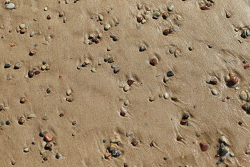 Background of sea sand and pebbles. High quality photo