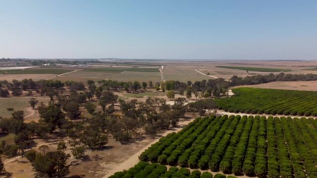 Panning counterclockwise from a height of fields, fruit trees, groves and greenhouses between Netivot and Sderot