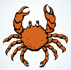 Big sea crab. Vector drawing