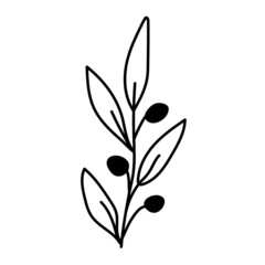 Hand drawn twig with berries. Brush for frame, wreath