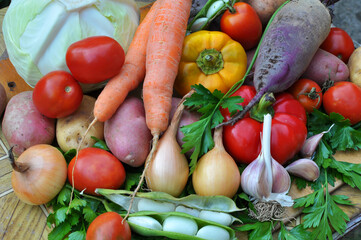 Vegetable borscht set