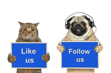 A dog pug and beige cat are holding blue signs t says Like us and Follow us. White background. Isolated.