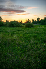 Obraz na płótnie Canvas gentle and beautiful sunrise in the field in summer