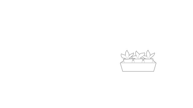 Young Sprout Seedlings In A Flower Box Icon Animation Best Outline Object On White Background