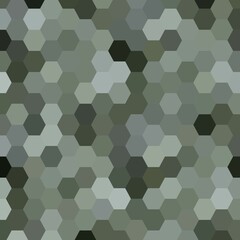 Fototapeta na wymiar gray vector abstract background. hexagon design. polygonal style. eps 10