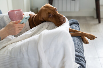 Lonely weekend at home: closeup of female reading and deleting text messages from ex-husband in...