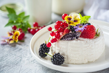 Vegan country cheese dessert with yogurt, berries and red currants.