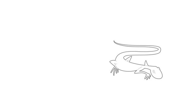 Brisk lizard icon animation best outline object on white background
