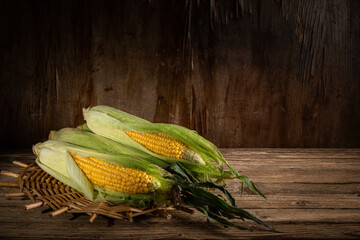 ripe corn on the cob lies on a wooden table against the background of an old wooden wall. artistic photo in rustic style with copy space