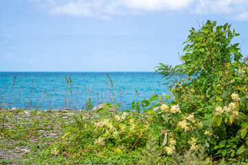 新潟県糸魚川市にあるラベンダービーチ周辺の風景 Scenery around Lavender Beach in Itoigawa City, Niigata Prefecture.