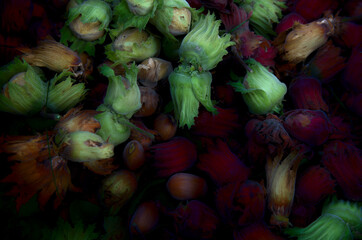 red and green hazelnuts