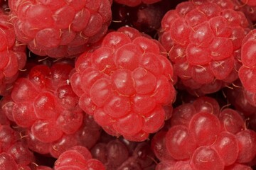 Raspberry isolated on white background.