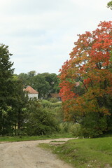Golden autumn in Europe, Latvia. High quality photo