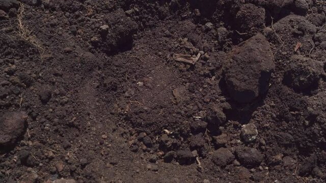 Orange plastic spade fills hole with ground and stamps down soil IN field in countryside in summer close upper view