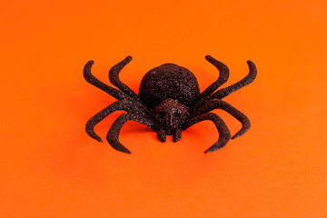 Close up of black horror spider on orange backdrop with copy space. Halloween decoration spooky background concept for holidays