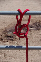A red rope hanging on a metal corral gate